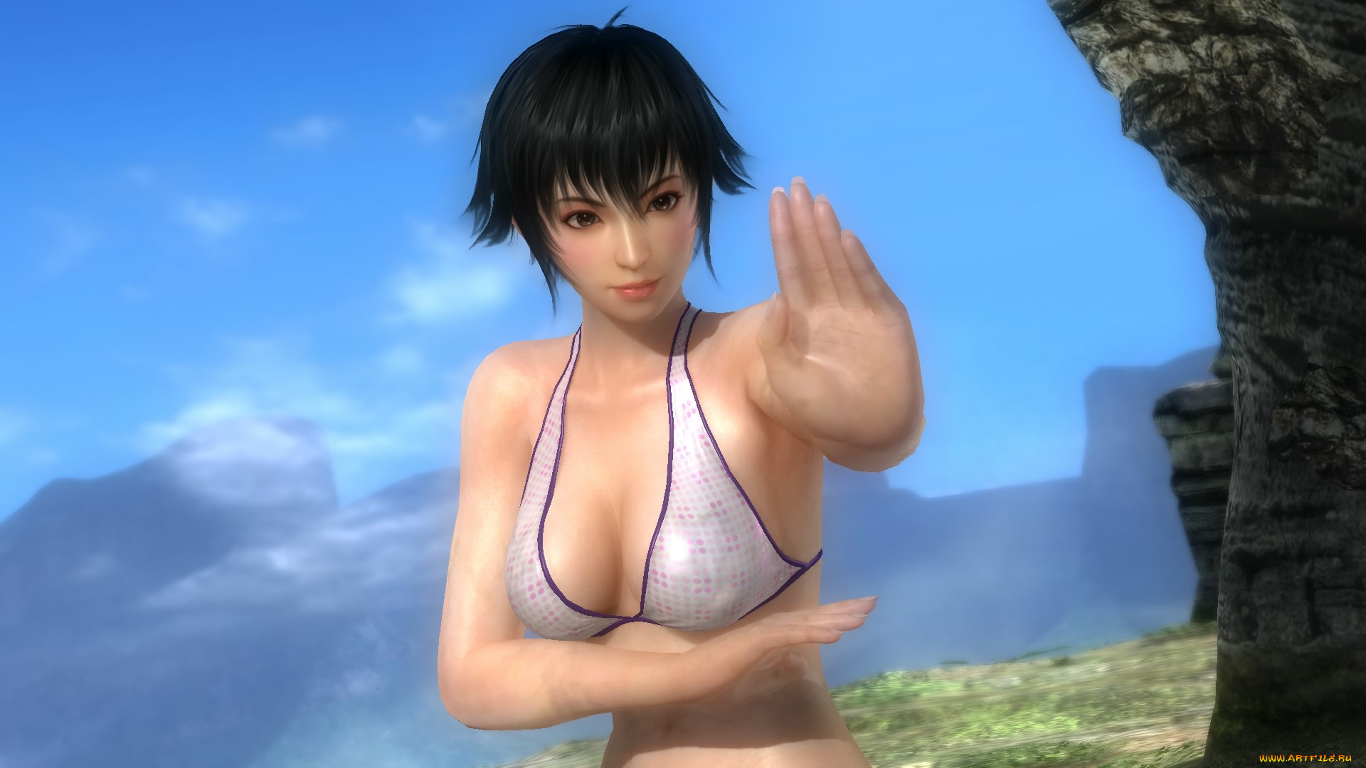  , dead or alive 5, , , , 